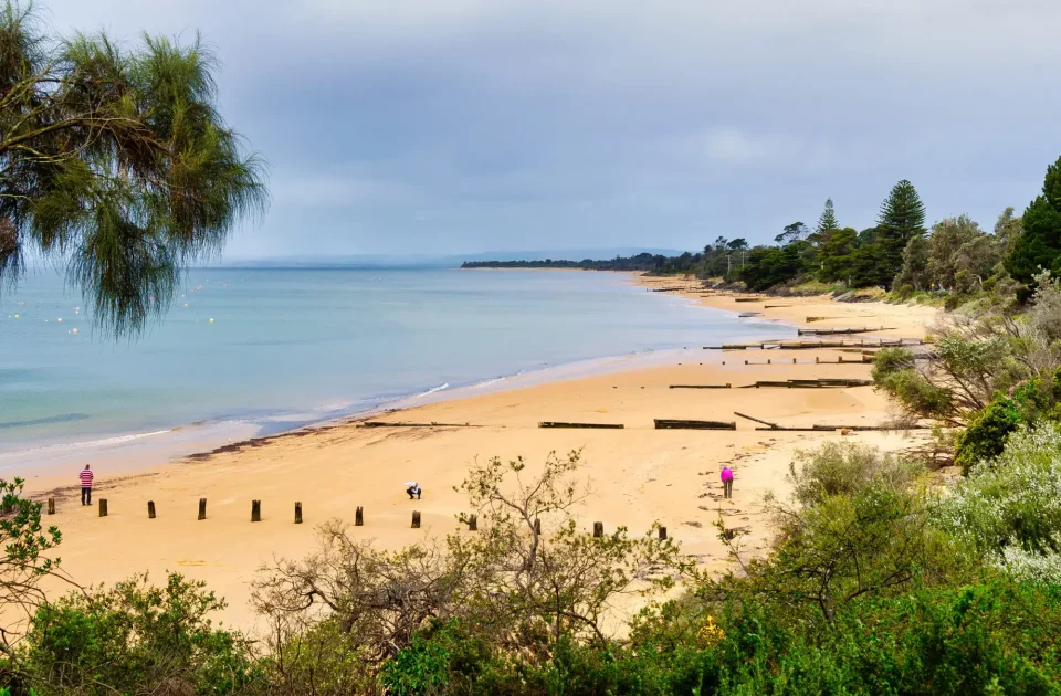 Remnants of old wooden sea groynes on the beach - Cowes, Victoria, Australia